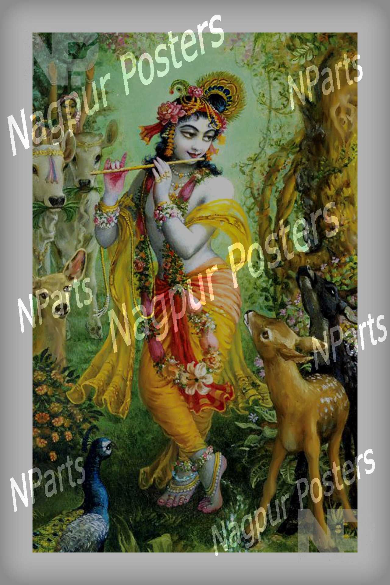Radhakrishna (1)