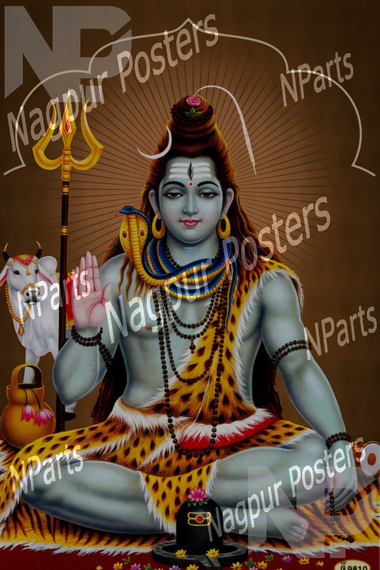 Shiv 01 (4)